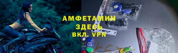 гидра Михайловск