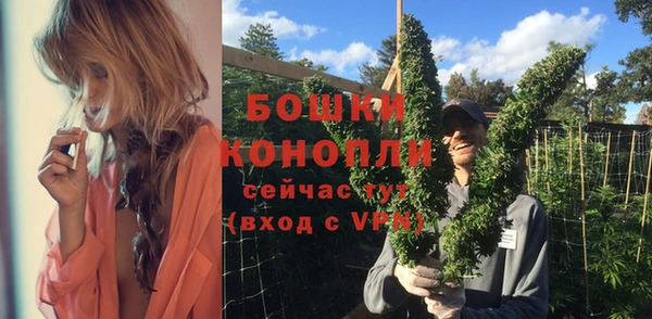 гидра Михайловск
