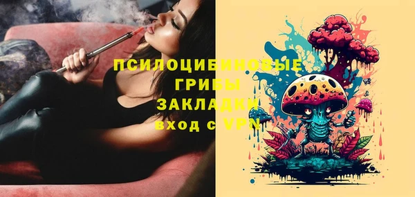 гидра Михайловск