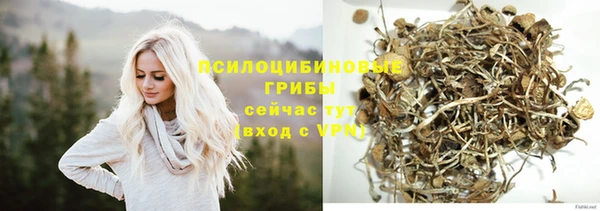 гидра Михайловск