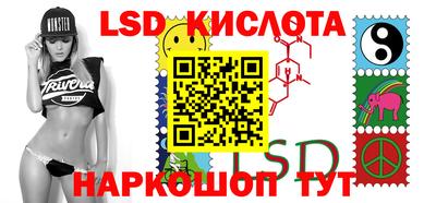 молекула духа Донской