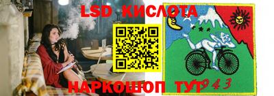 молекула духа Донской