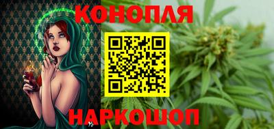 прущие грибы Дубна