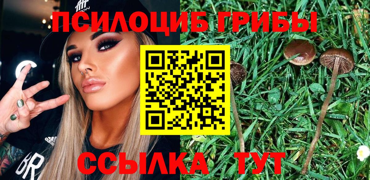 Псилоцибиновые грибы мухоморы Электрогорск