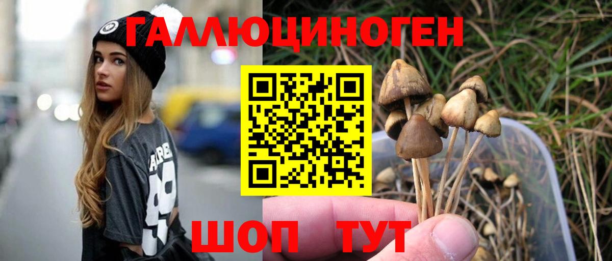 Электрогорск  Галлюциногенные грибы мухоморы  Вход с VPN 